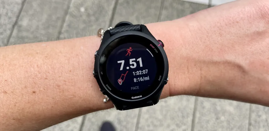Garmin Forerunner 255 | Фото 1