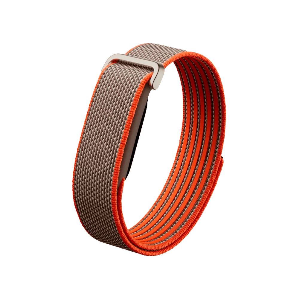 Фітнес-браслет Google Fitbit Air Rye