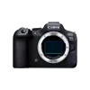 Бездзеркальний фотоапарат Canon EOS R6 Mark II body (5666C031)