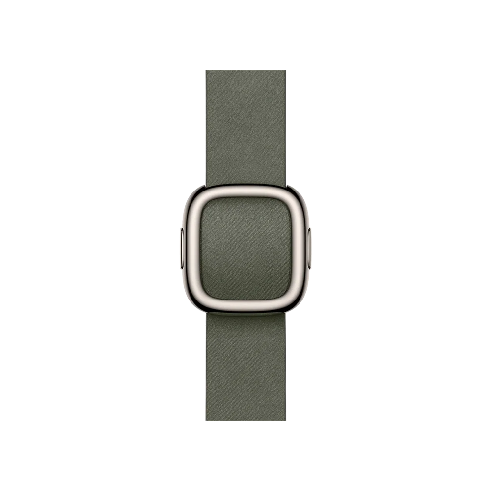 Ремінець Apple Sage Gray Modern Buckle Small 38/40/41/42mm (MGG94)