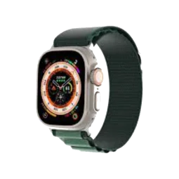Ремешок для Apple Watch 42/44/45/46/49mm Dux Ducis GS Series Green/зелений