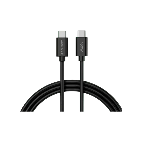 Сетевое зарядное устройство EcoFlow RAPID Charger 65W (EFA-65W-GAN-CHARGER-EU) | магазин Apple Grokholsky.com — Фото 2