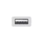 Адаптер Apple USB-C to USB Adapter (MJ1M2) | магазин Apple Grokholsky.com — Фото 3