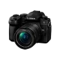 Бездзеркальний фотоапарат Panasonic Lumix DC-G9 kit (12-60mm) (DC-G9MEG-K) | магазин Apple Grokholsky.com — Фото 1