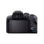 Бездзеркальний фотоапарат Canon EOS R10 body (5331C046) | магазин Apple Grokholsky.com — Фото 2