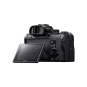 Бездзеркальний фотоапарат Sony Alpha A7 III body (ILCE7M3B.CEC) | магазин Apple Grokholsky.com — Фото 2